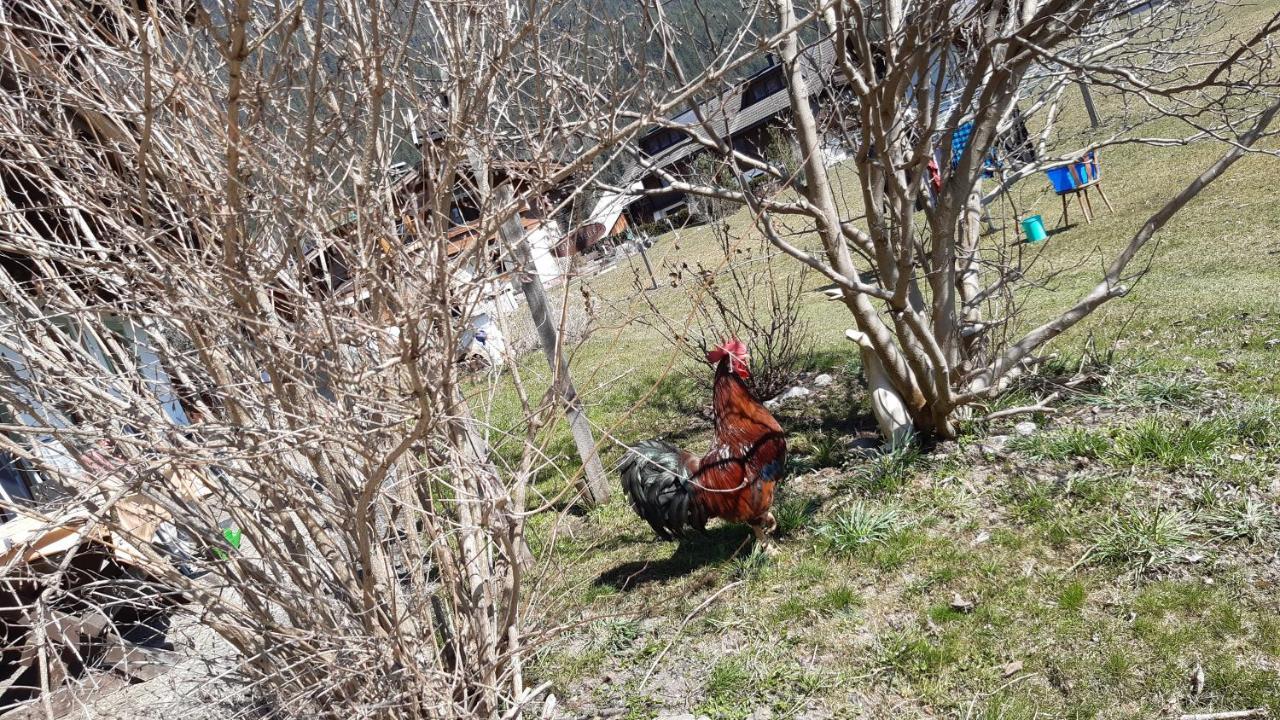 Wiesingbauer Saalfelden Exteriör bild