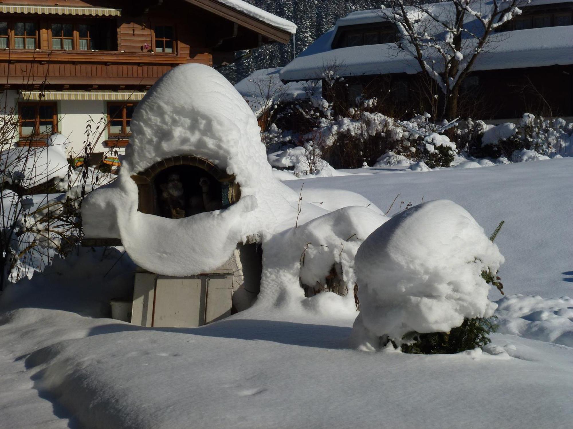 Wiesingbauer Saalfelden Exteriör bild